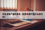 比特币账户图片真实（比特币账户是什么样子的）