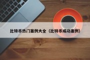 比特币热门案例大全（比特币成功案例）